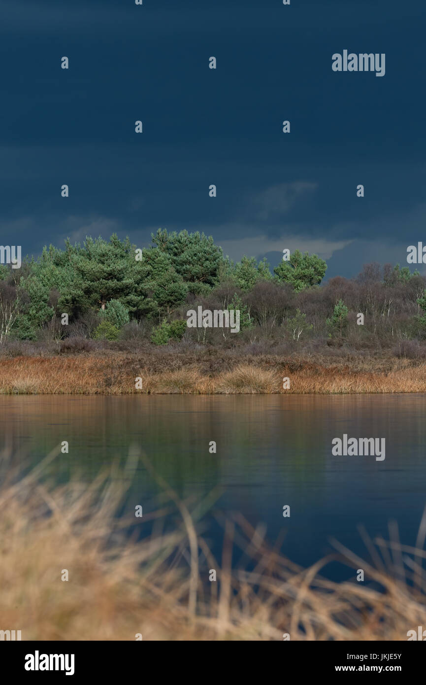Storm cloud approaching a lake over heathland and tree line Stock Photo