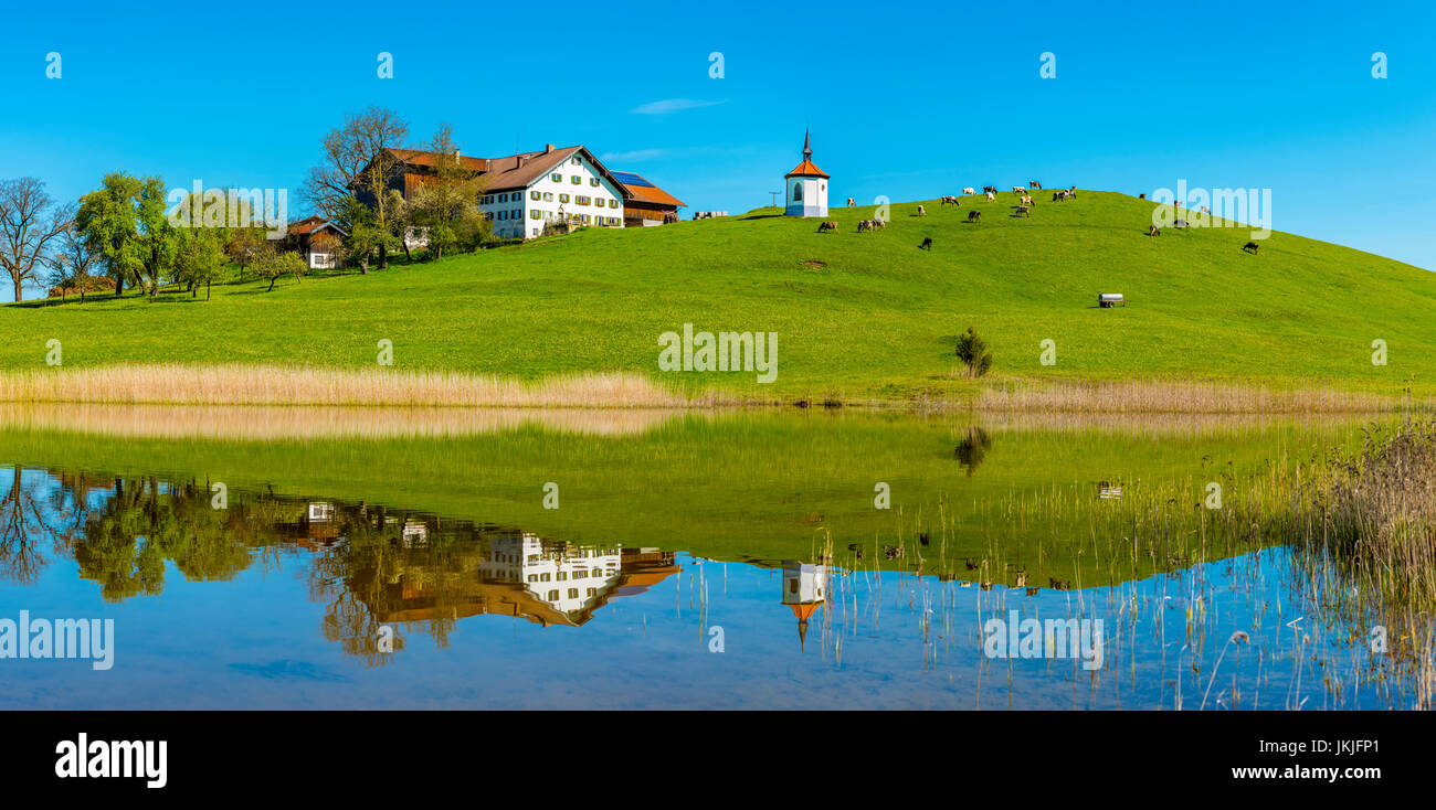 Hegratsrieder See, bei Fuessen, Allgaeu, Bayern, Deutschland, Europa Stock Photo