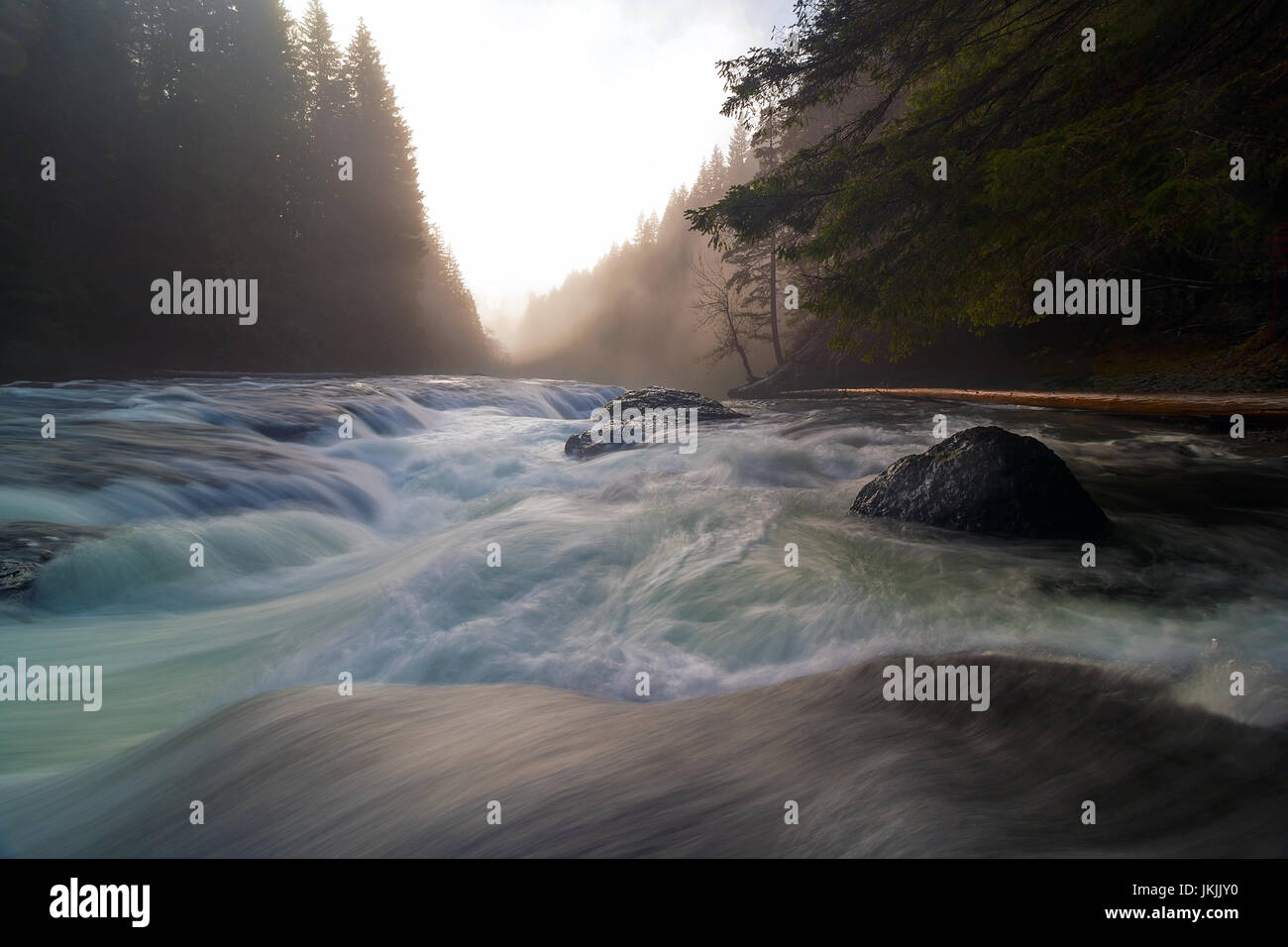 Top of Lower Lewis River Falls in Gifford Pinchot National Forest ...