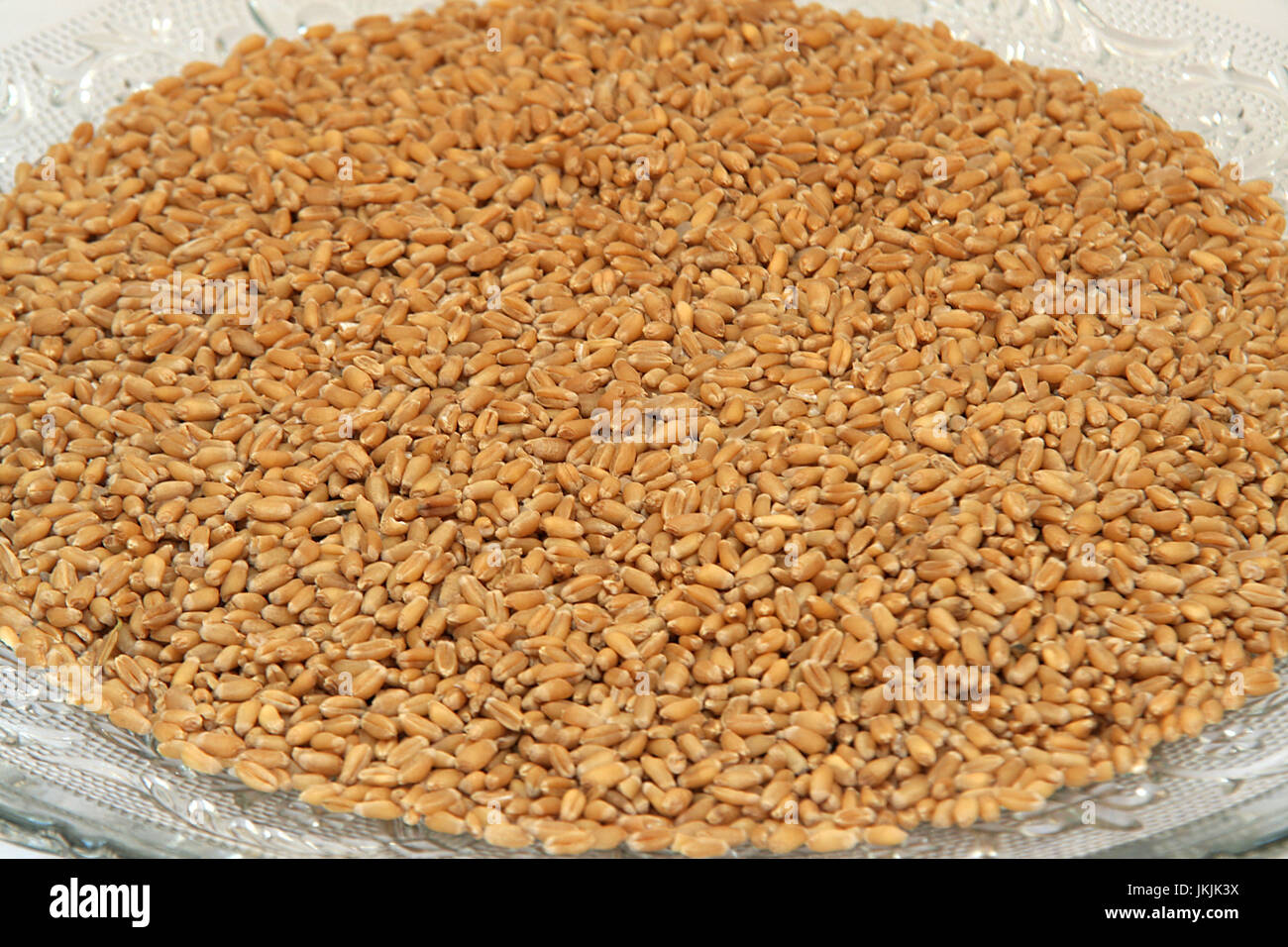 Wheat grains are rich in complex carbohydrates, fibre/fiber, vitamins