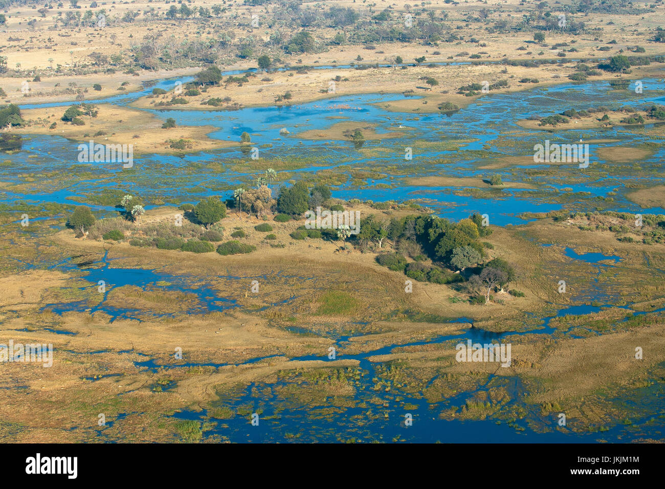 Aerial view of the Okavango Delta, Moremi Game Reserve, Botswana Stock Photo