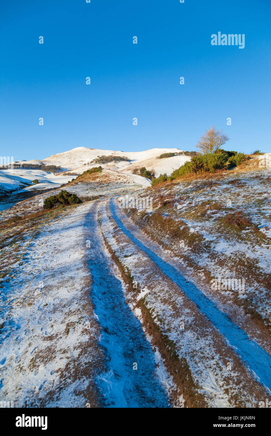 The track to Turnhouse Hill in the Pentland Hills near Edinburgh. Stock Photo