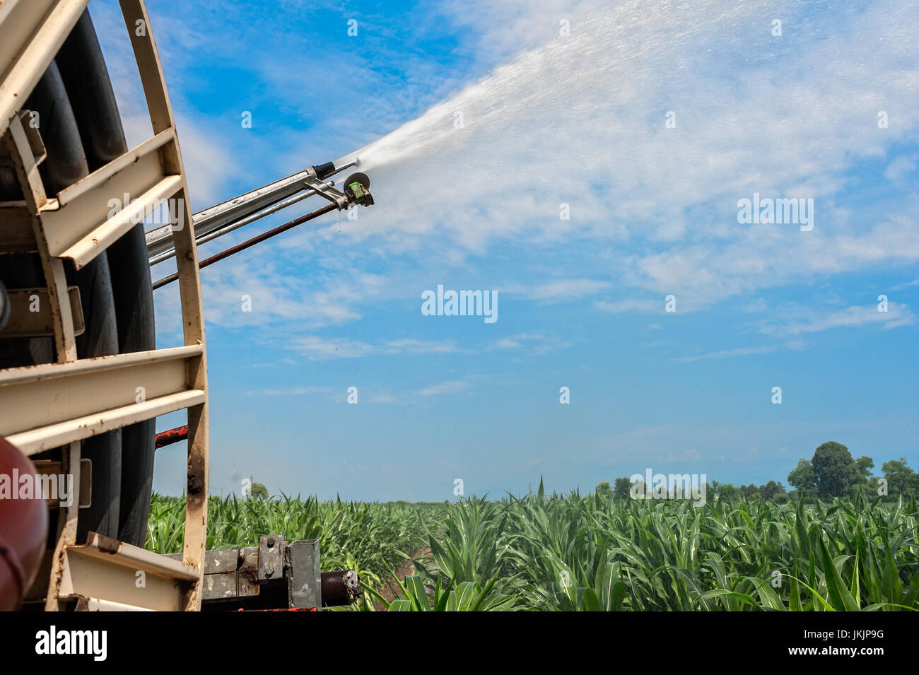 Agricultural equipment. Equipment pumping water on field of corn.Water sprinkler Stock Photo