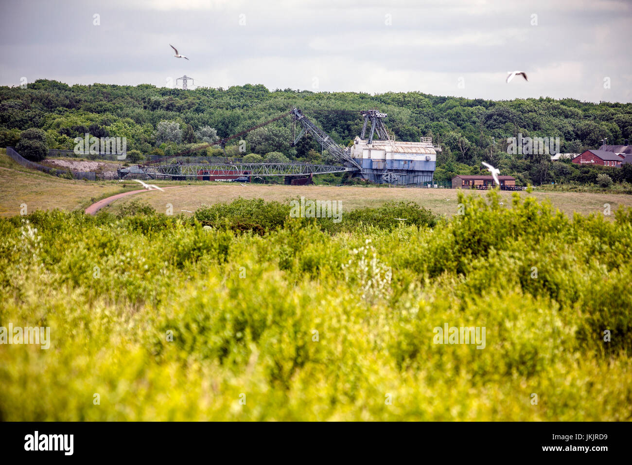 Walking dragline coal excavator, St Aidan's County Park, Leeds