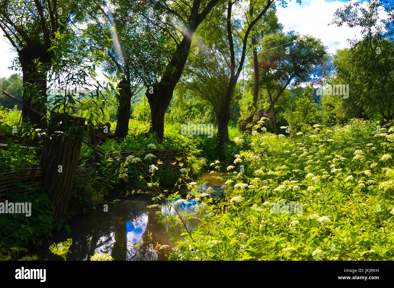 Small Clean River and Green Overgrown River Banks Stock Photo