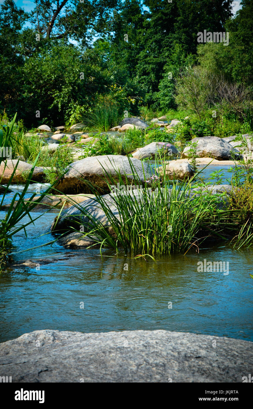 Peaceful Landscape With Forest River Plants And Stones In Ukraine Stock Photo Alamy