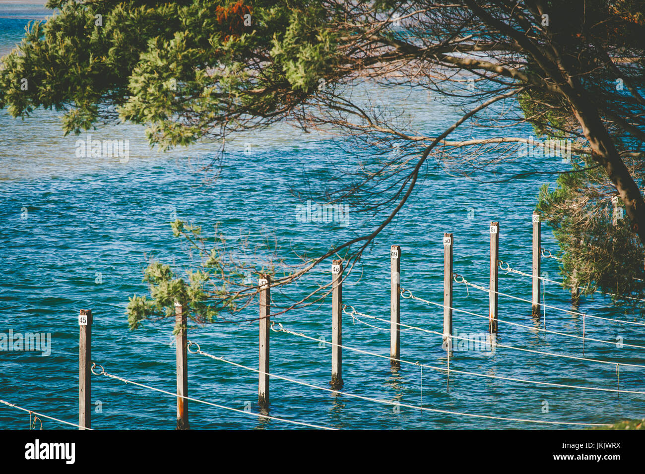 Numbered docking poles with ropes for fishing boats. Ocean shallow water and native Australian trees Stock Photo
