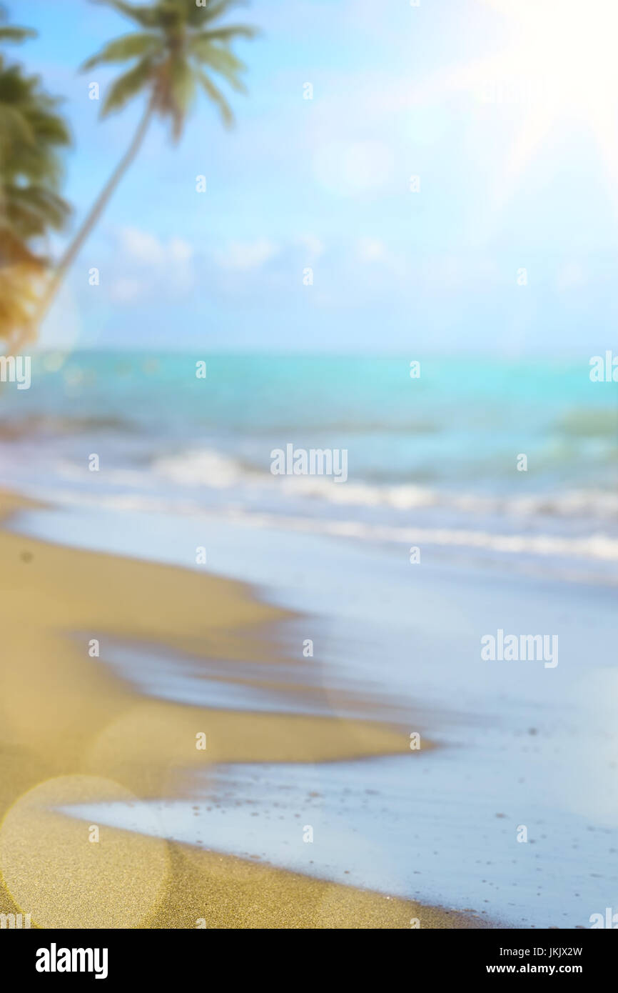 Palm tree on tropical beach hi-res stock photography and images - Alamy