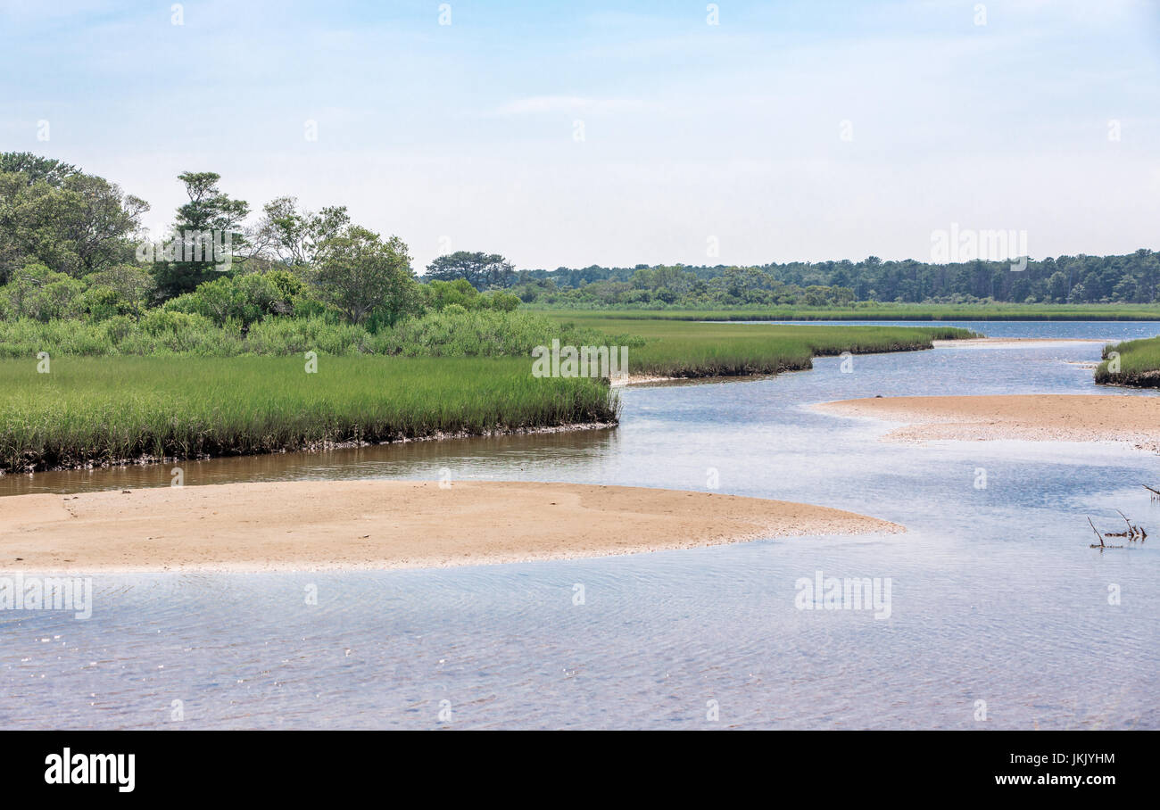 natural area in amagansett, ny Stock Photo Alamy