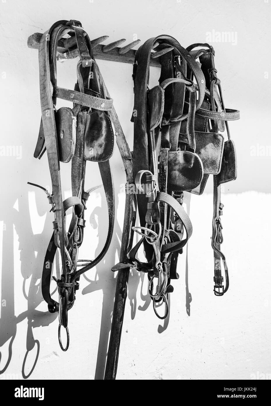 leather horse bridles and bits handing on wall Stock Photo