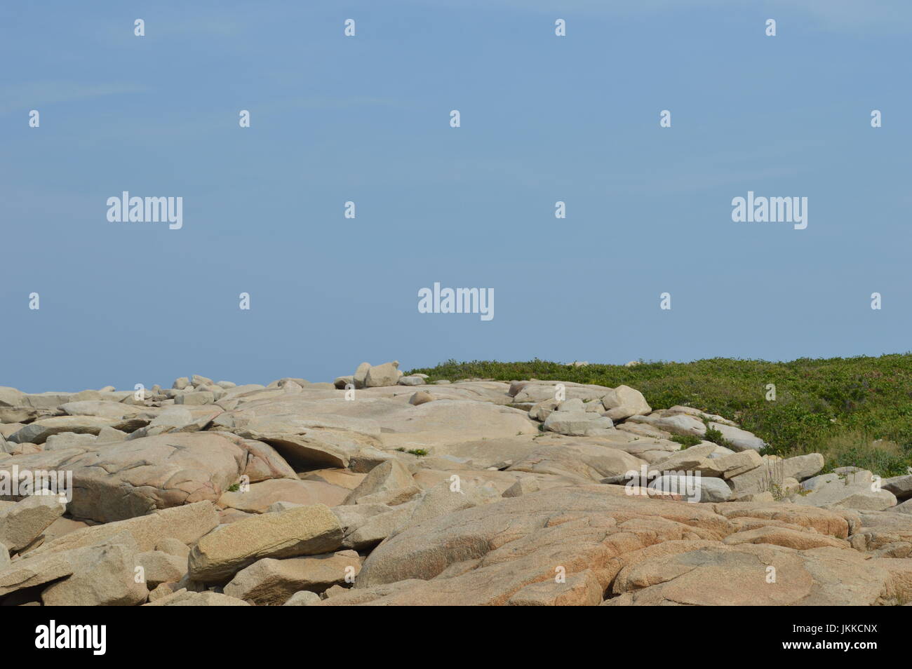 Halibut State Park, Rockport, MA Stock Photo Alamy
