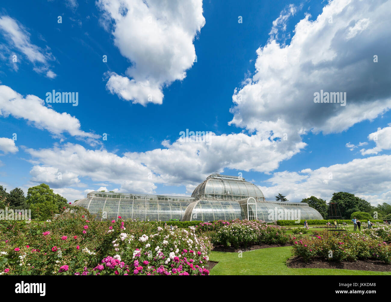 Kew Gardens Palm house. Stock Photo
