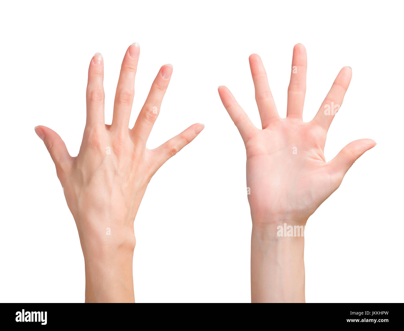 Рука пятерки. Пять пальцев. Рука показывает пять. Рука показывает 5 пальцев. Рука женская спереди.