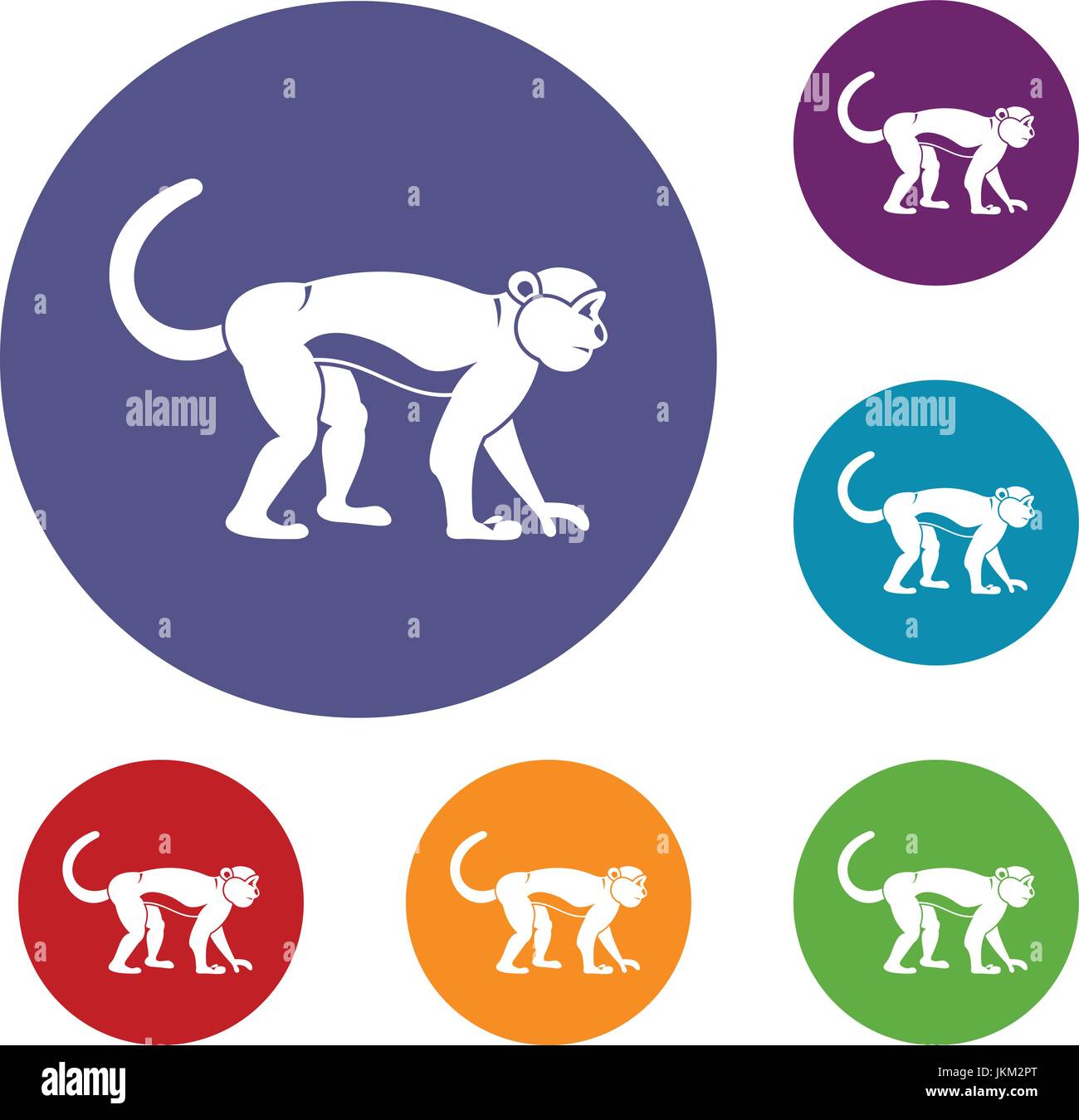 Macaque icons set Stock Vector Image & Art - Alamy