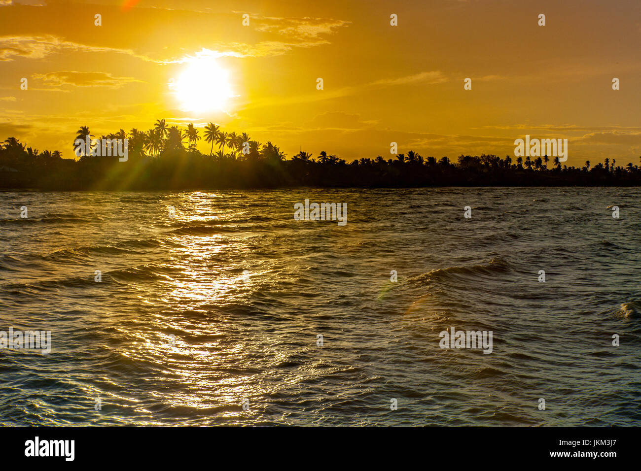 Sun setting behind a line of coconut palms in Cadiz City, Negros Occidental Island, Philippines. Stock Photo
