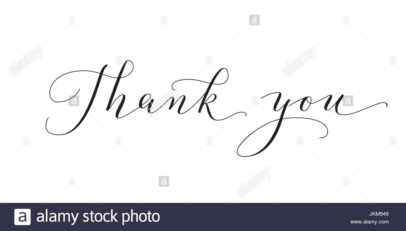 thank you words hand written custom calligraphy isolated on white