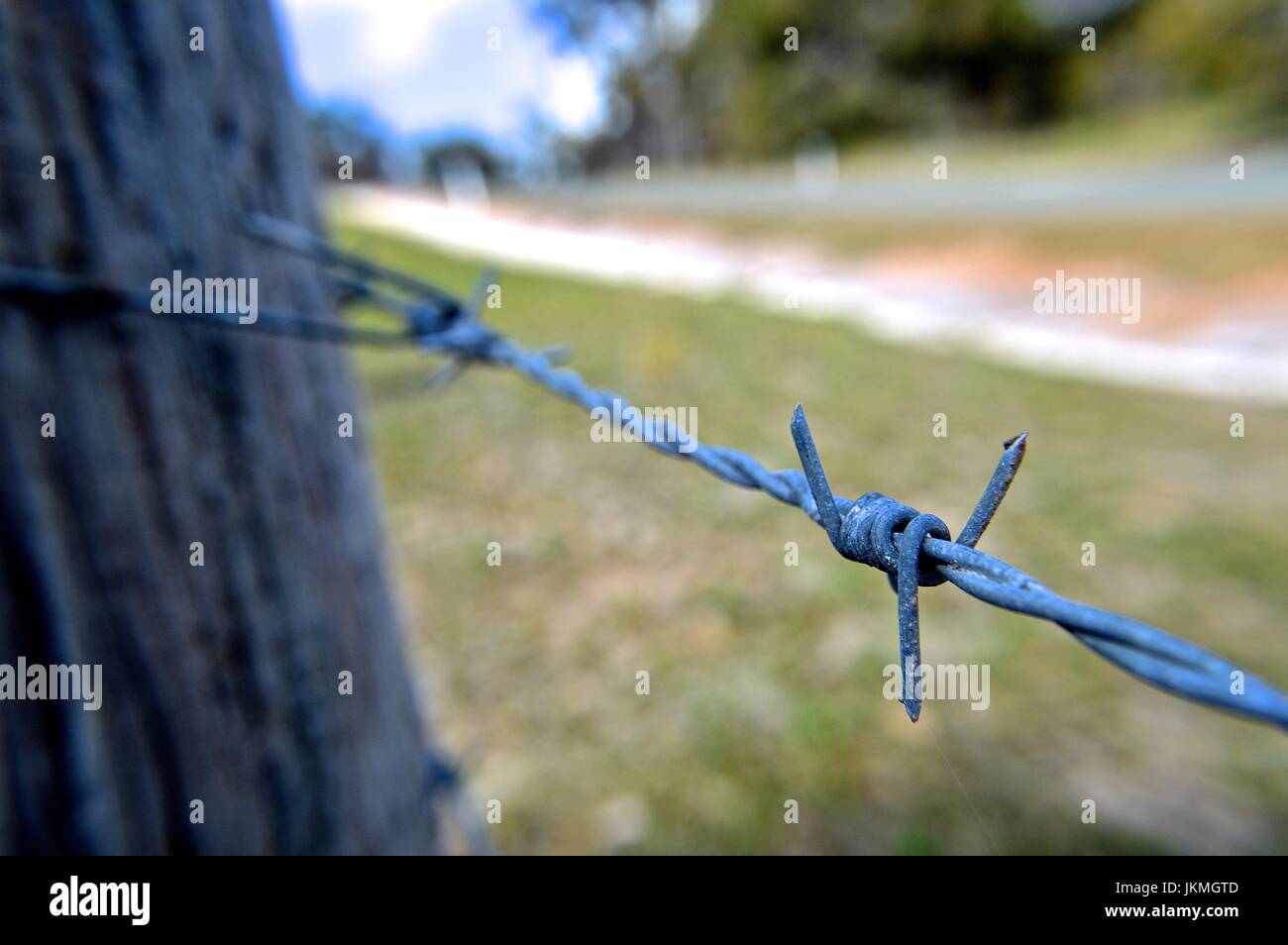 Rural barbed wire fence Stock Photo Alamy