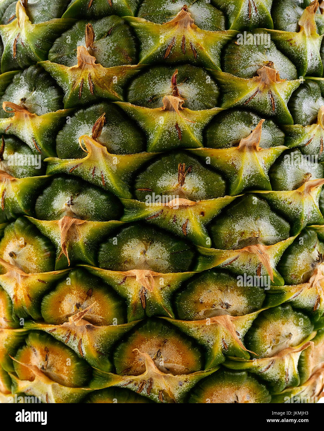 Pineapple Eye isolated Stock Photo Alamy