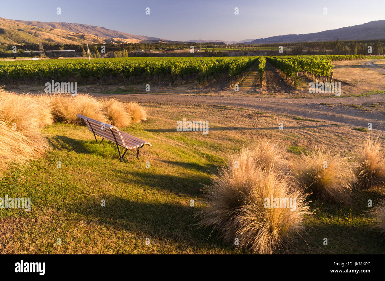 A bench with a view looking over a vineyard in Bannockburn, Central Otago, South Island of New Zealand Stock Photo