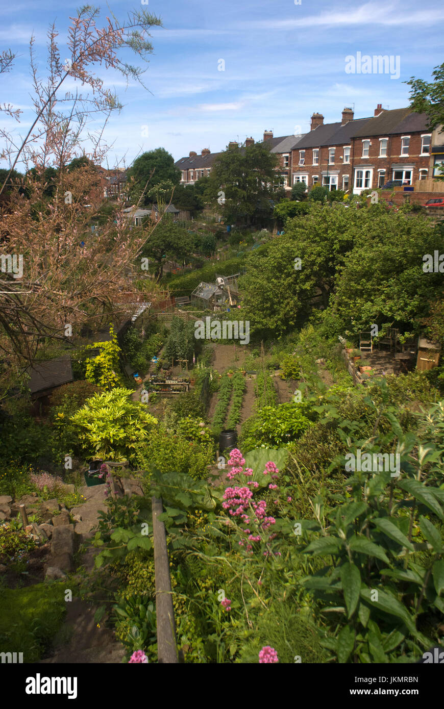 Zetland terrace hires stock photography and images Alamy