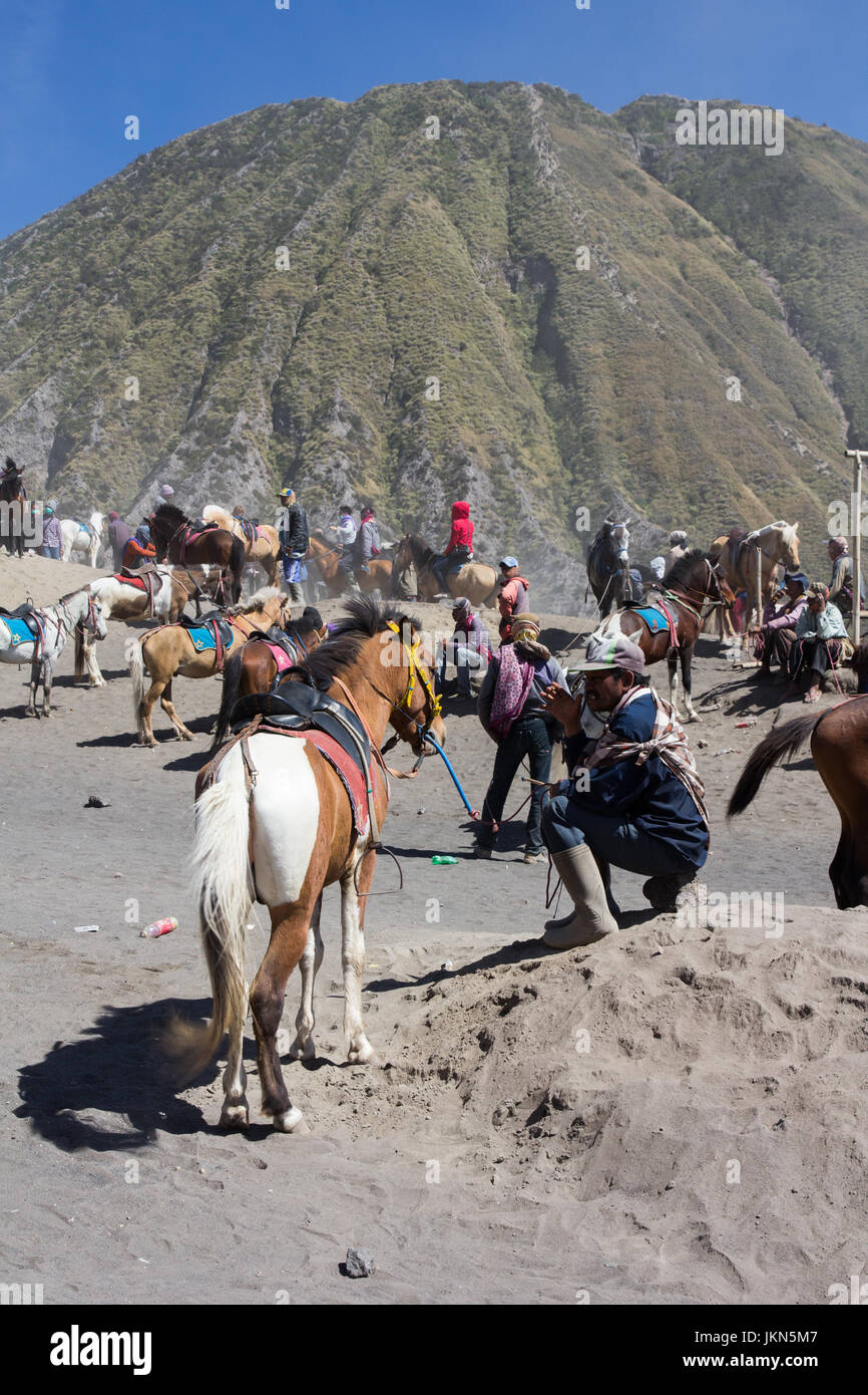JAVA,INDONESIA-AUGUST 16:Tourist ride horse and walking to see crater of Mount  Bromo on August 16, 2015 in Java , Indonesia.Mt. Bromo is an active vo Stock Photo
