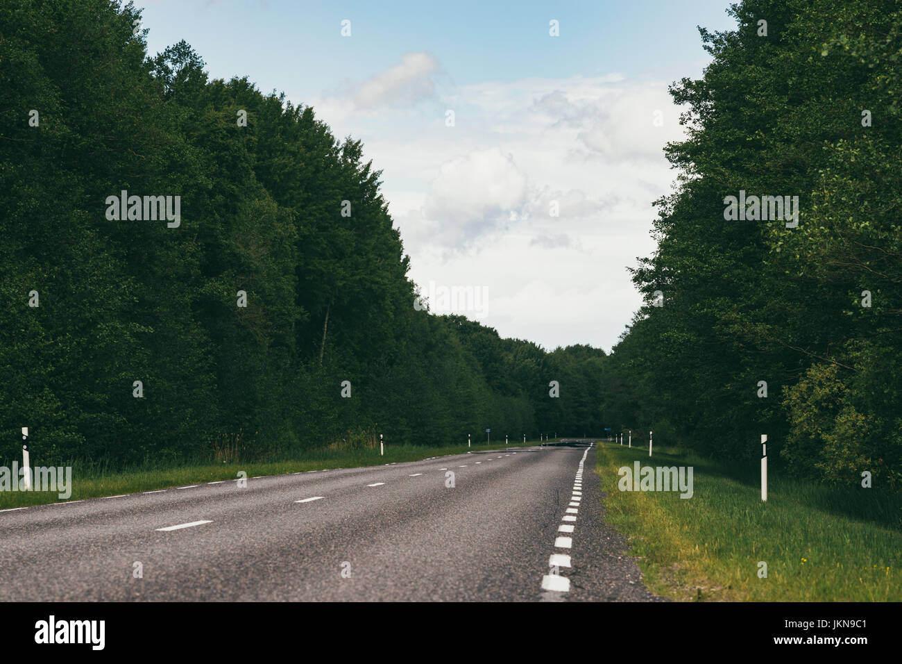 Straight empty asphalt road in forest area, selective focus Stock Photo ...