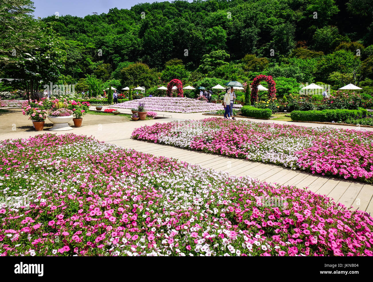 Ashikaga, Japan May 20, 2017. People visit Ashikaga Flower Park at