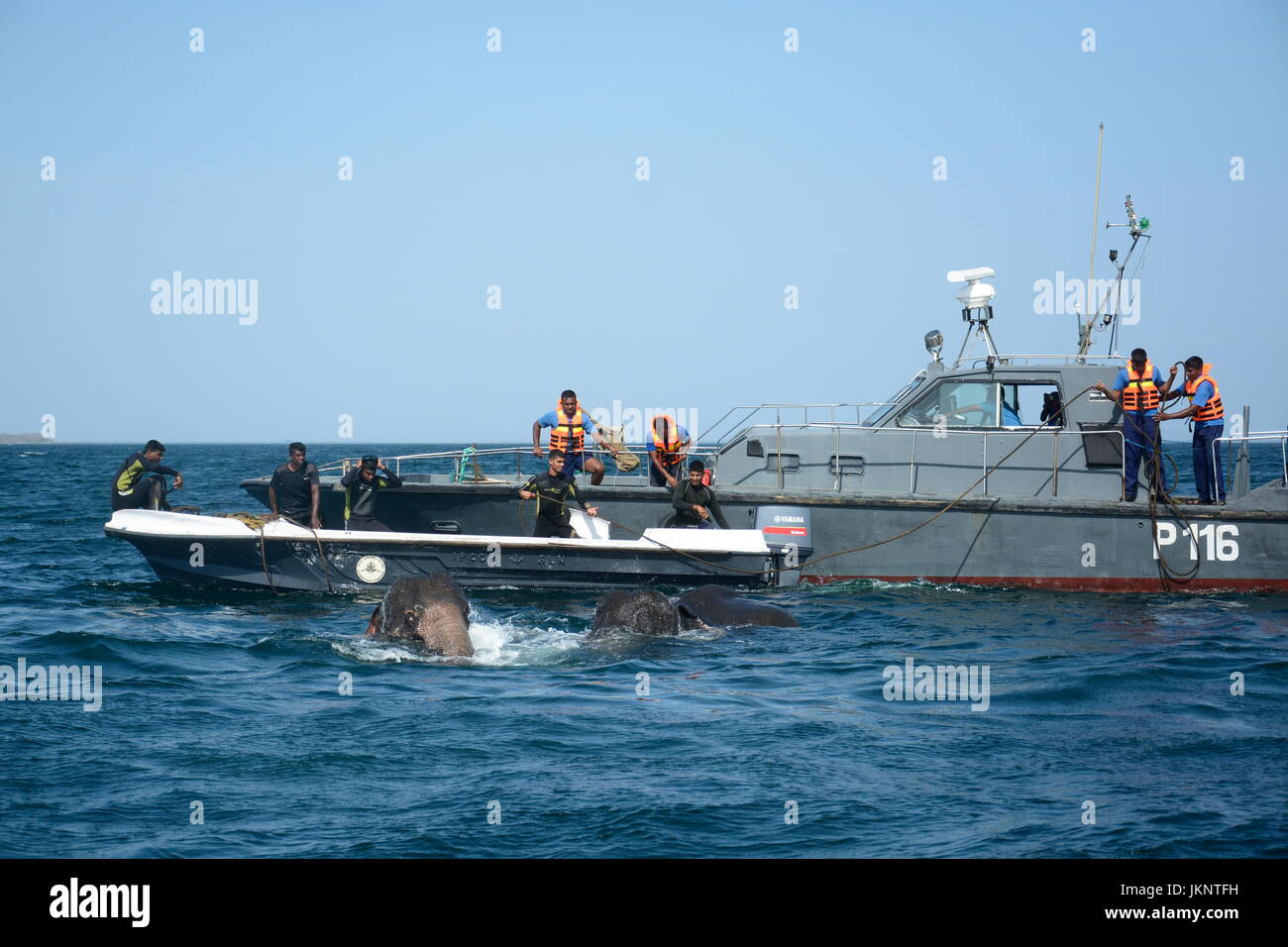 Trincomalee, Sri Lanka. 23rd July, 2017. A patrol craft from Sri Lankan Navy conducts a rescue mission to save the elephants in the sea in between Round Island and Foul Point in Trincomalee, in the east of Sri Lanka, July 23, 2017. Two elephants on Sunday were swept out to deep sea in the east of Sri Lanka. Responding to the situation, a combined rescue mission was launched by the navy and the officials from the Department of Wildlife in Trincomalee to save the two wild elephants. Credit: Xinhua/Alamy Live News Stock Photo