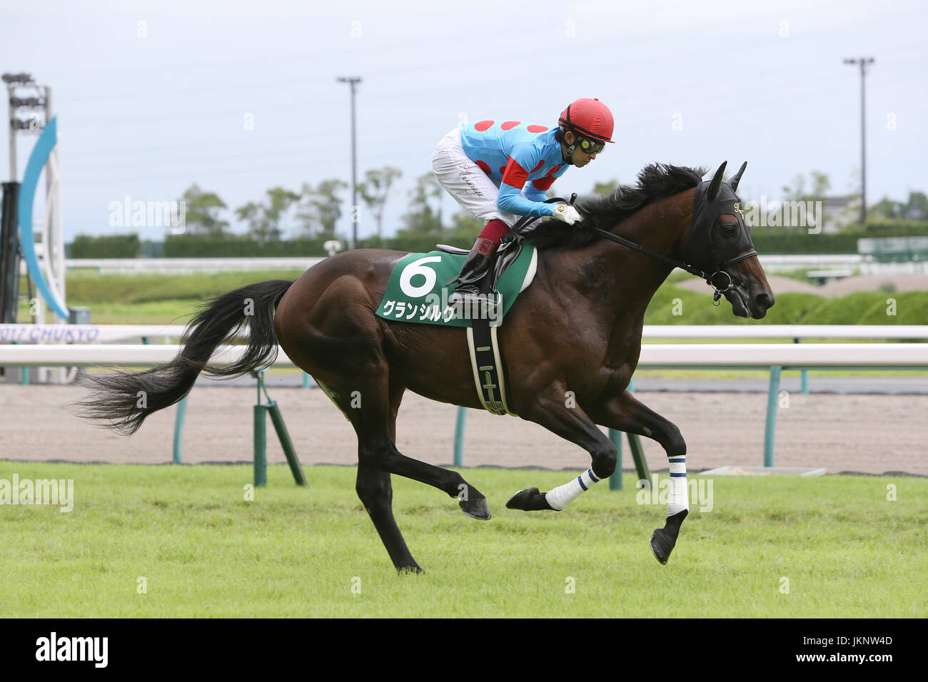 Aichi, Japan. 23rd July, 2017. Grand Silk (Yuichi Fukunaga) Horse ...