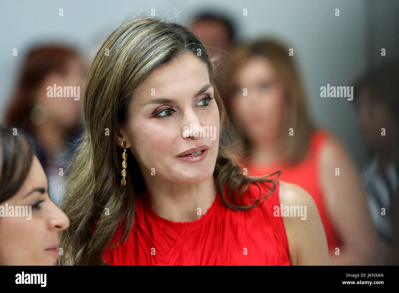 Malaga, Spain. 24th July, 2017. Spanish Queen Letizia during annual meeting of Institute Cervantes Directors in Malaga on Monday on 24 July 2017 Credit: Gtres Información más Comuniación on line,S.L./Alamy Live News Stock Photo