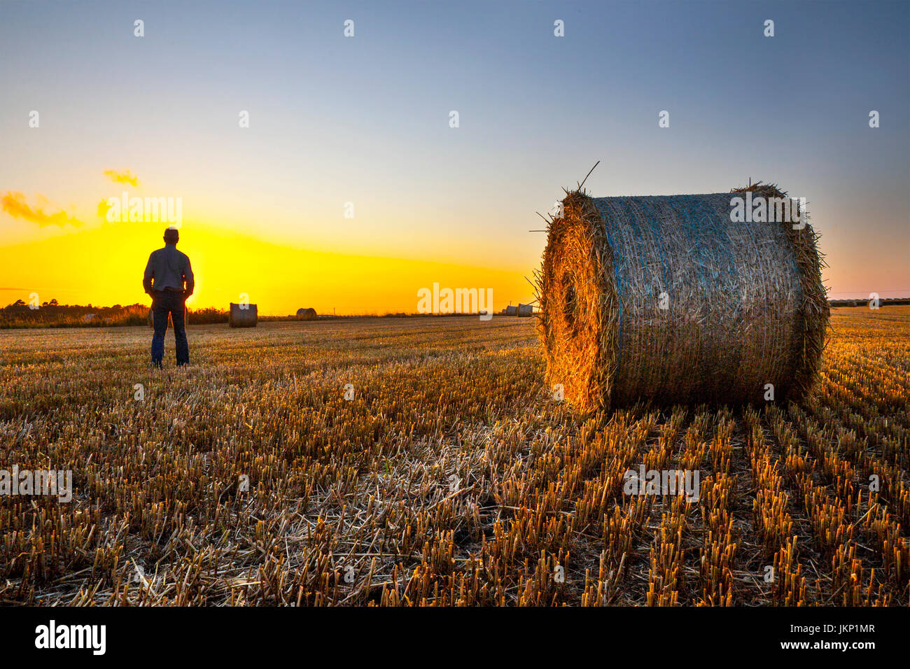 Setting sun & Straw bales which average about 15 big bales to the acre