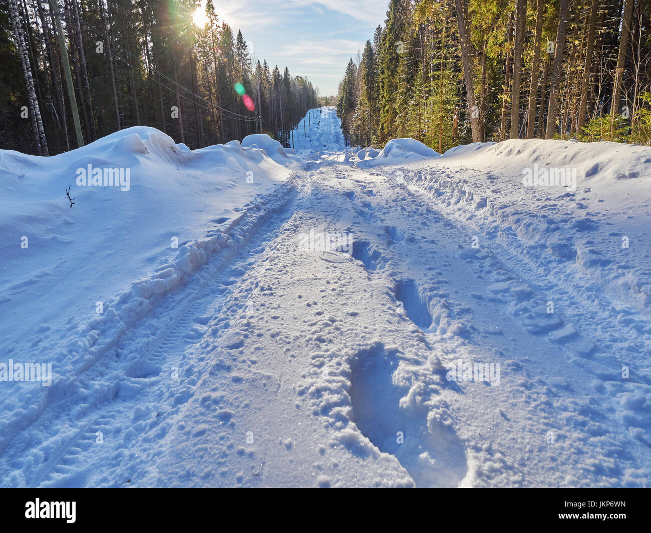 Road in the forest. Winter Stock Photo - Alamy