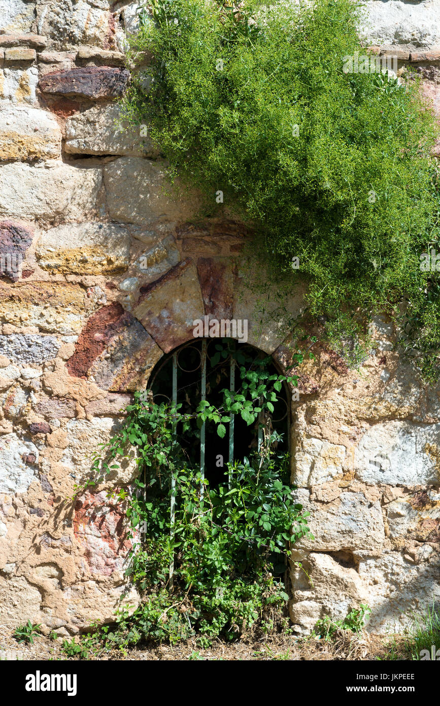 Small door almost hidden by the vegetation in the wall of a castle Stock Photo