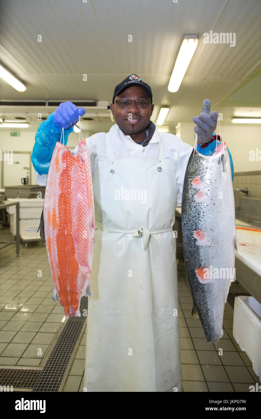 East End salmon smokehouse, H Forman &amp; Son's, which has recently been ...