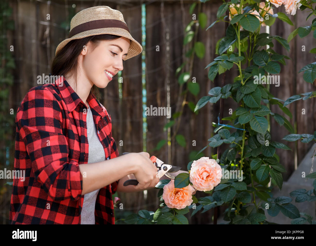 gardener girl trimming flowers Stock Photo