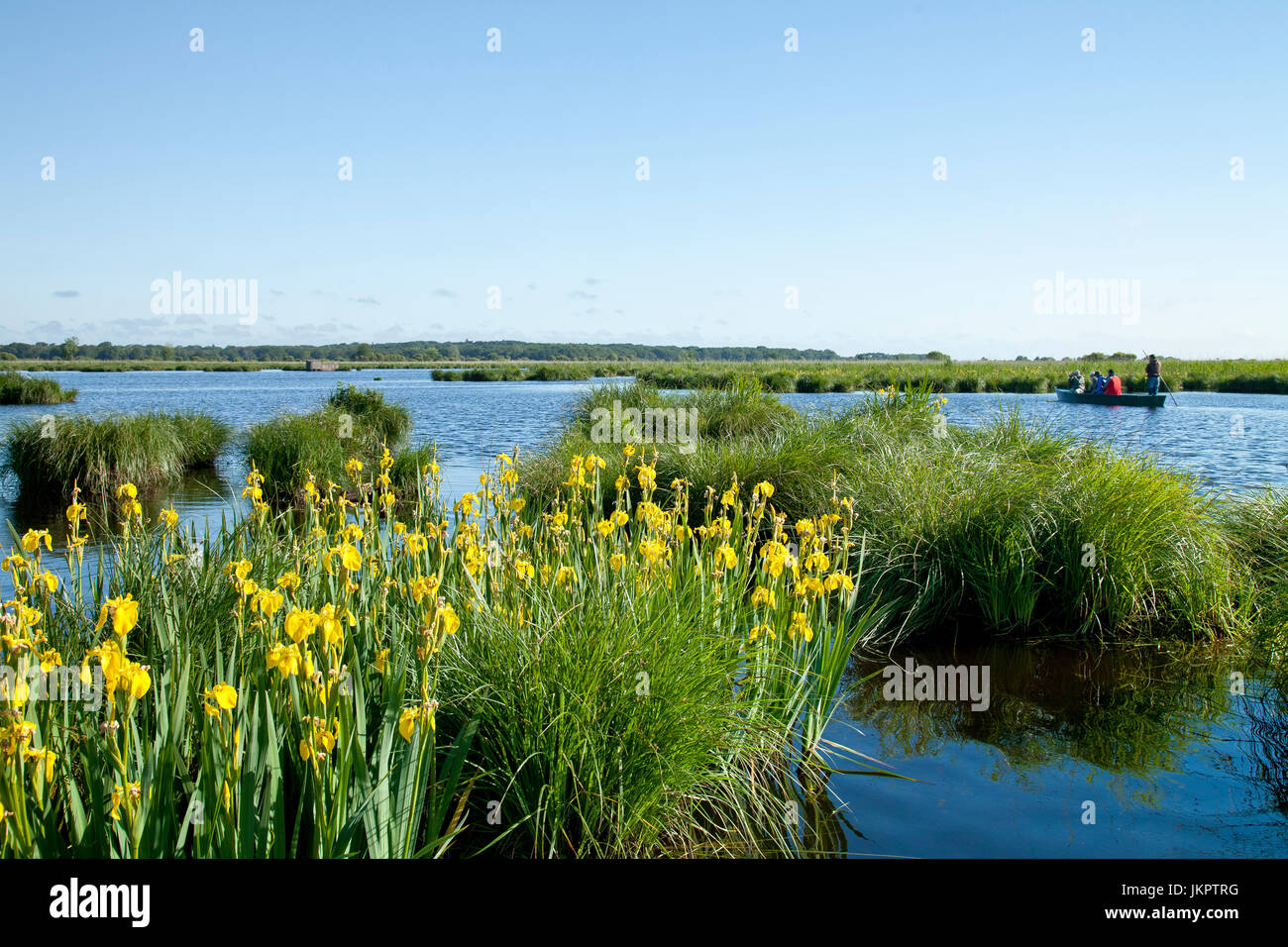 Marais De Briere High Resolution Stock Photography and Images - Alamy