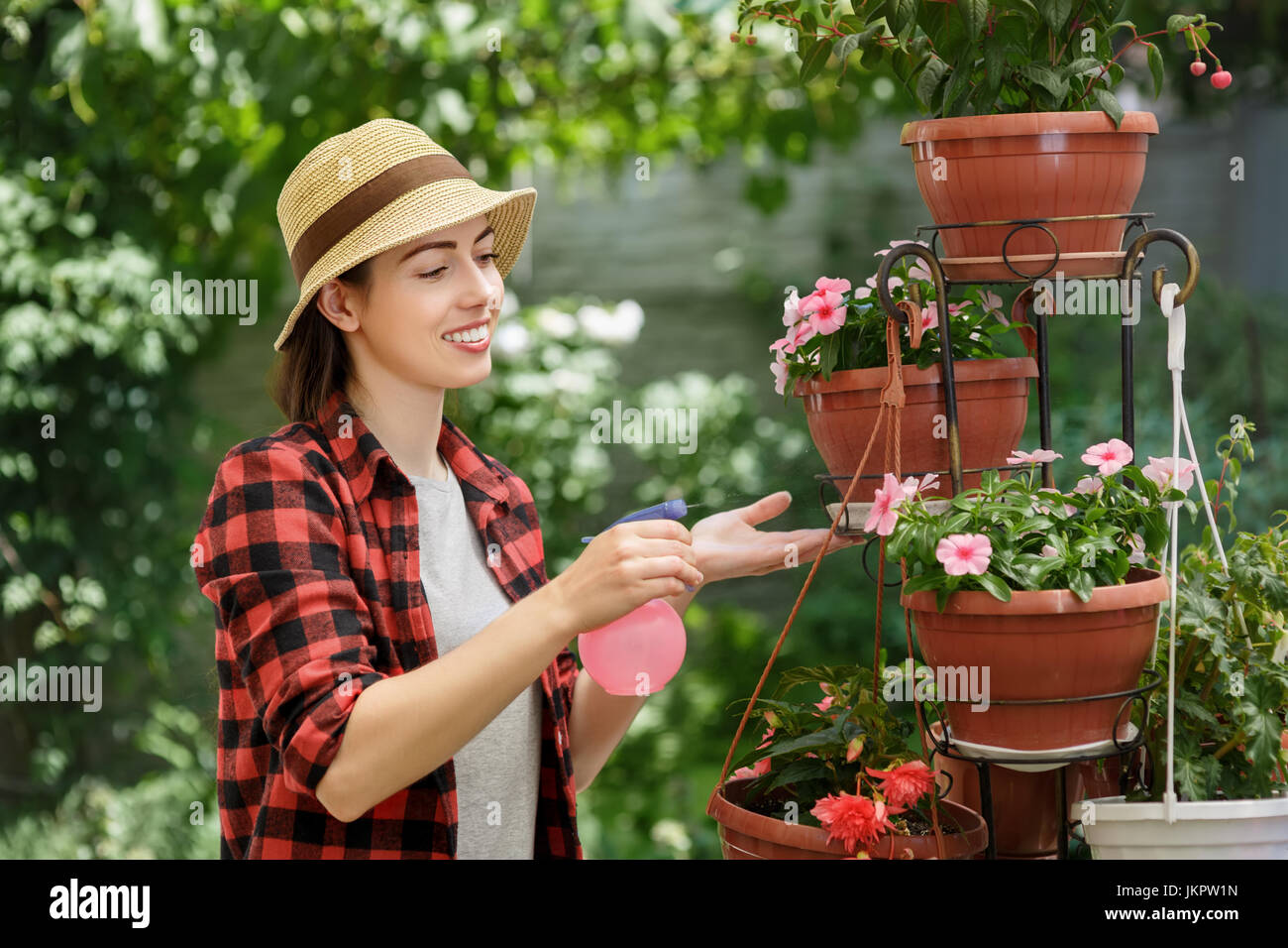gardener spraying water on plants Stock Photo Alamy