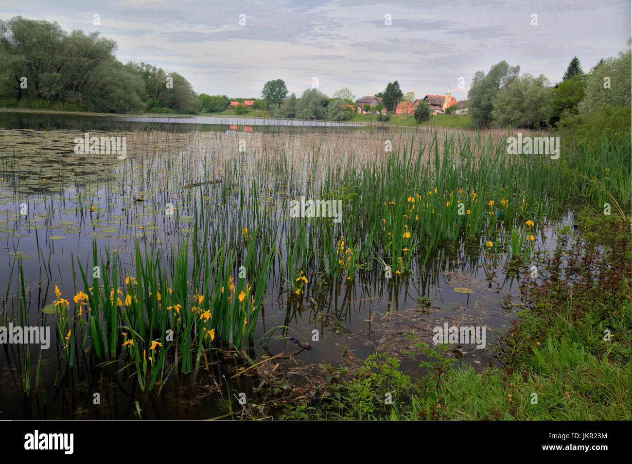 Oxbow lake in Muzilovcica village, Lonjsko polje, Croatia Stock Photo
