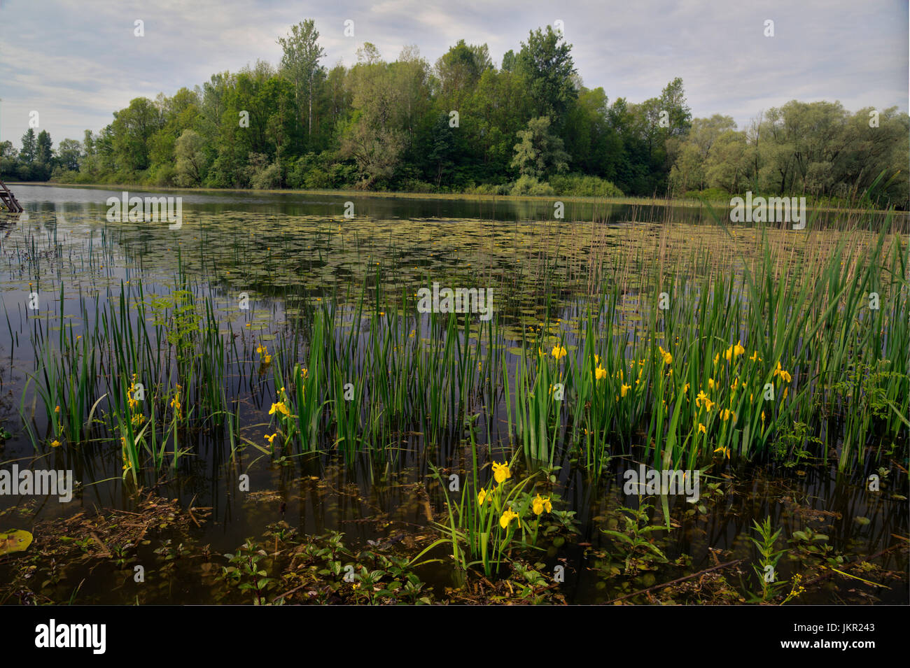 Sava river oxbow hires stock photography and images Alamy