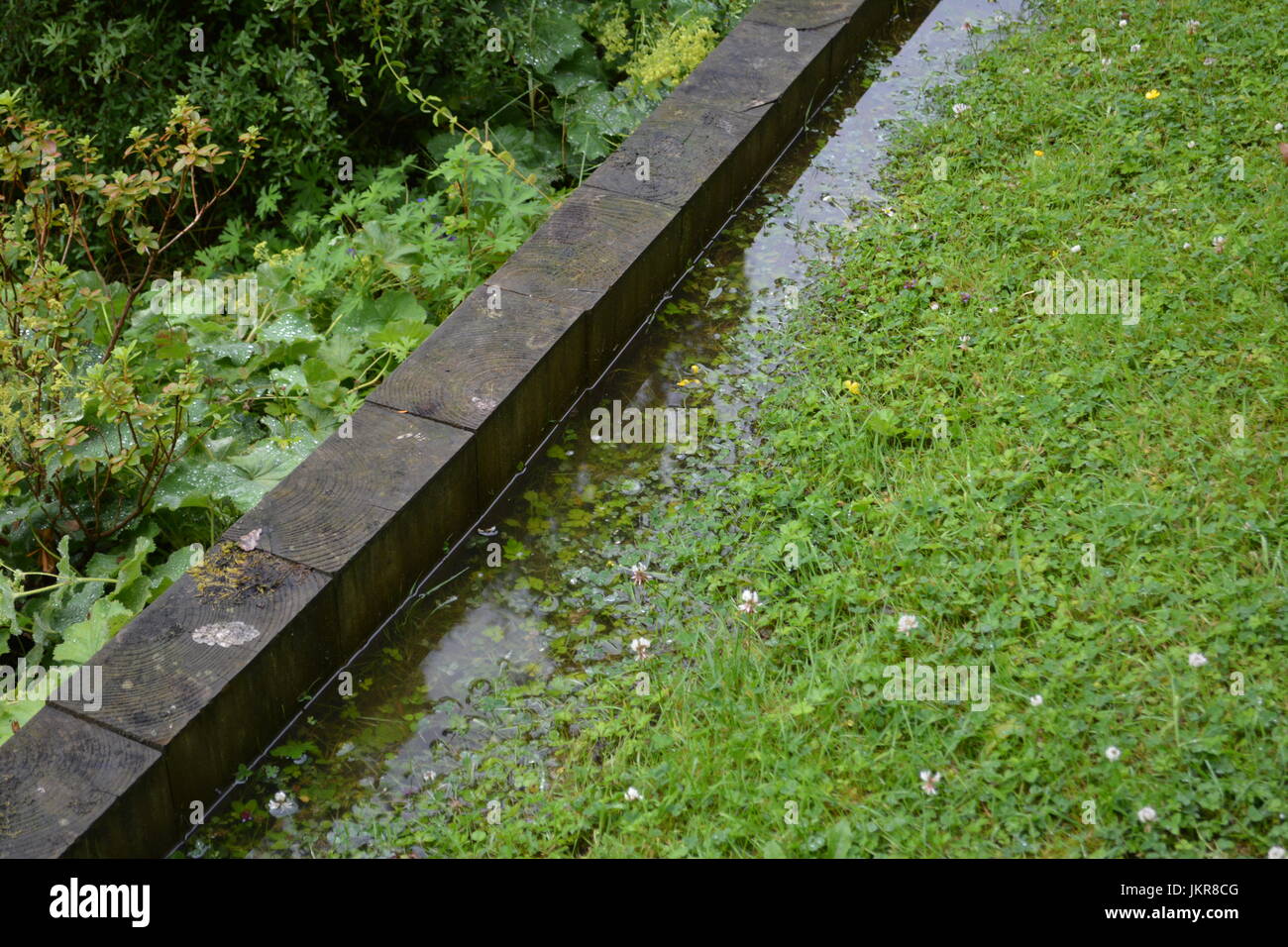 Water rain collecting on lawn grass against planted border made of large sleepers cut sectional timber wood re rainfall watering waterlogged borders Stock Photo