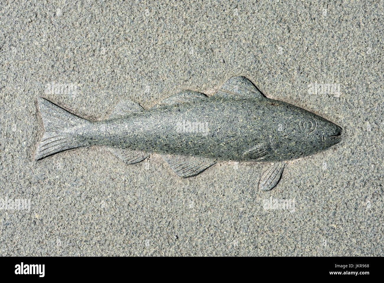 Fish relief in the beach avenue in lagoon jug, Schleswig - Holstein, Germany, Europe, Fischrelief an der Strandallee in Haffkrug, Schleswig-Holstein,  Stock Photo