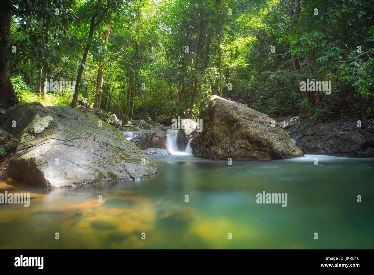 Summer time riverside fresh water surrounded by green forestry. Sarawak, Malaysia. Stock Photo