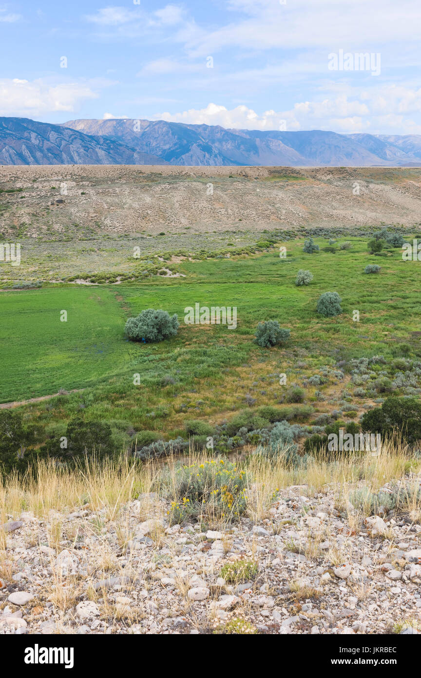 .Contrasting vegetation and environment across the prairie as viewed from the Bear Tooth Mountain pass highway, Red lodge, Montana, USA. Stock Photo