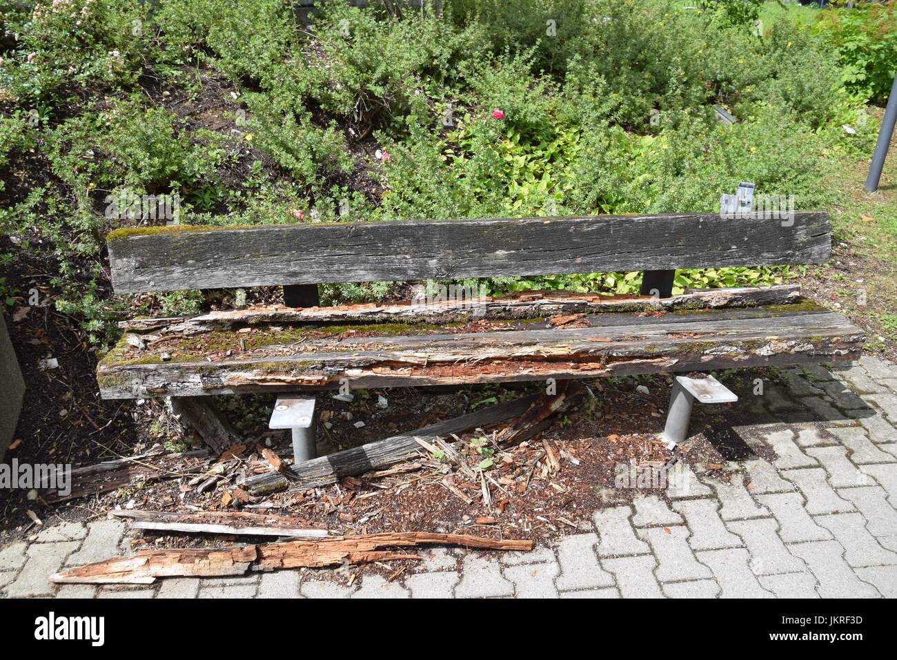 rotted Wooden bench Stock Photo Alamy