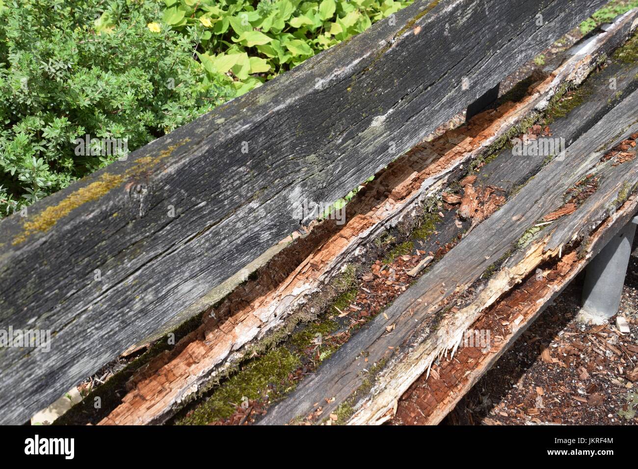 rotted Wooden bench Stock Photo