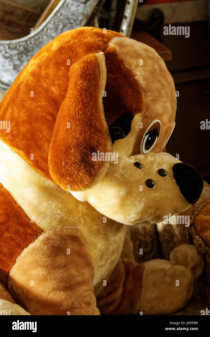 Photo of an old dog toy Stock Photo Alamy