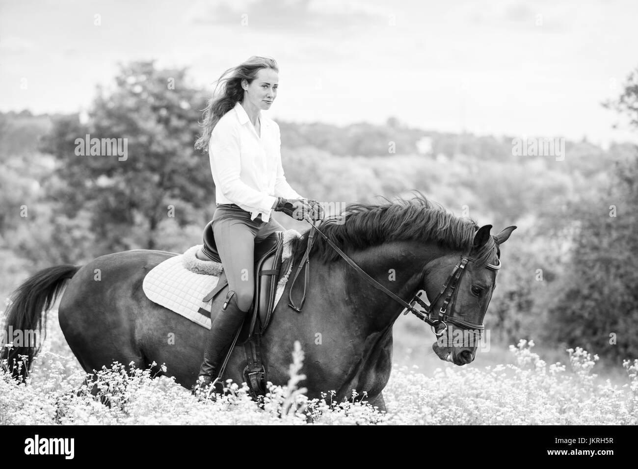 Young rider girl with long hair riding bay horse on camomile field Stock Photo