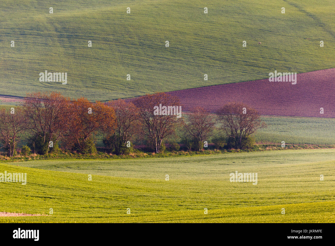 South Moravian fields Stock Photo Alamy