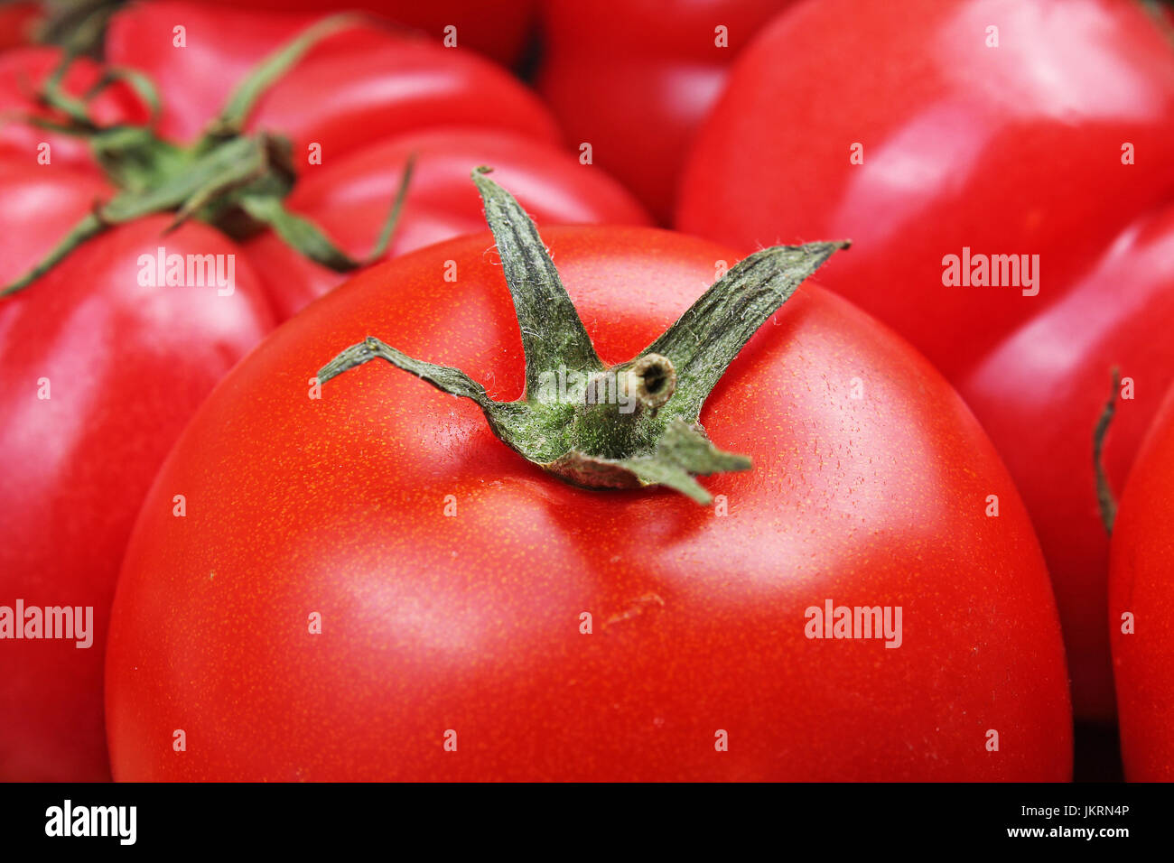 Tomato texture. Fresh big red tomatoes closeup background photo. Pile of tomatoes. Tomato pattern with studio lights. Stock Photo