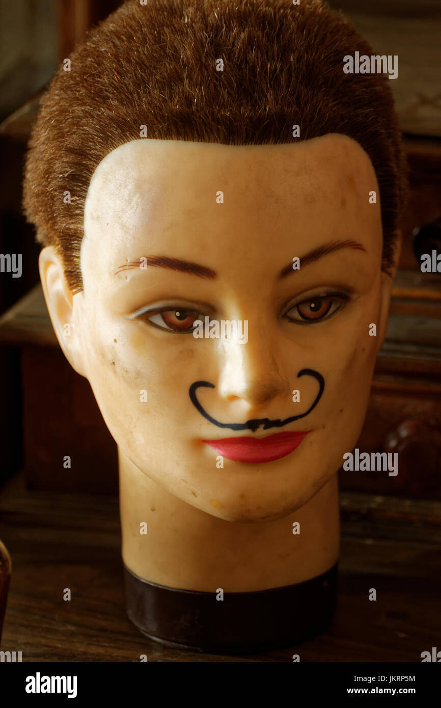 Photo of a dummy's head Stock Photo Alamy